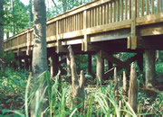 Governor's Land at Two Rivers Timber Bridges